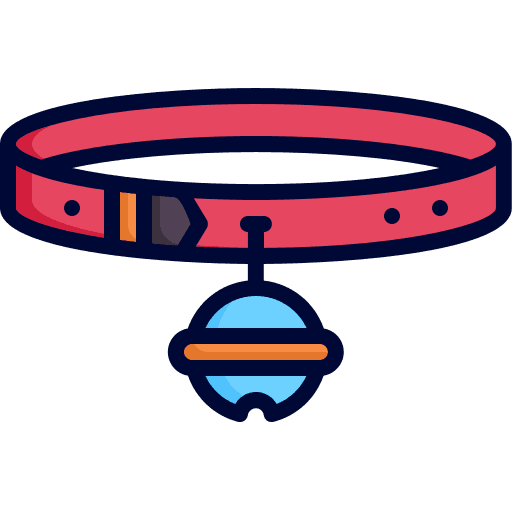 PET ACCESORIES