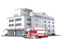 VETERINARY HOSPITAL PACHPEDI